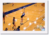 Set 1 * (178 Slides)